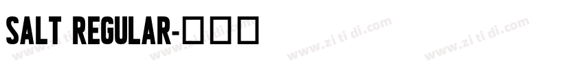 Salt Regular字体转换 Salt Regular字体转换